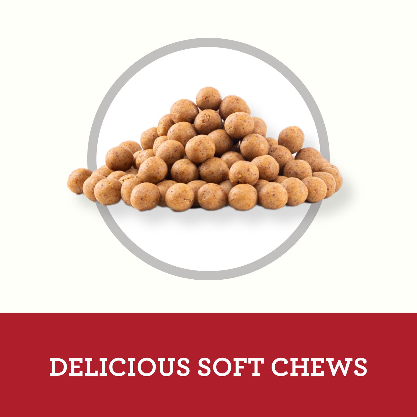 Hip & Joint - Soft Chews